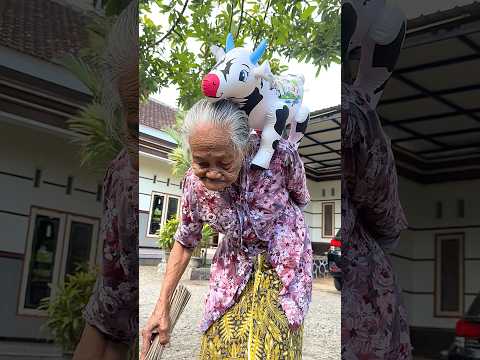 Sapi qurban kena marah nenek sampai ke laut #sapi #sapiqurban #sapilucu #sapimoo #iduladha #shorts