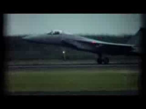 Tiger Meet Leck 1984