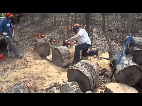 MSG361 Noodles Termite