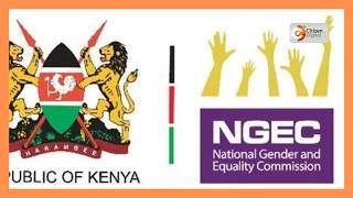 High-Level Meeting on Realisation of the Two-Third Gender Rule