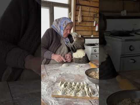 Бабушка и кот лепят пельмени
