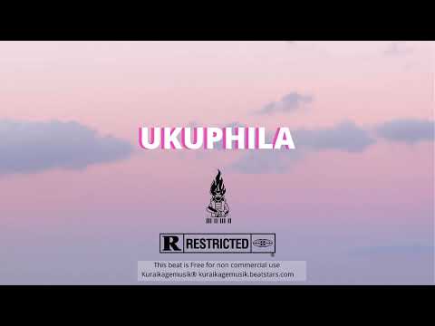 Burna Boy x Wizkid x Fireboy Dml x Tayc Type beat - "UKUPHILA" | Afroswing Type Beat 2022