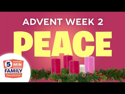 Witness21 Editor  2021 11 12