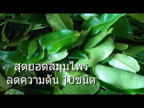 หลักสูตรวิดีโอฟรีเพื่อเพิ่มสมาชิก การผ่าตัดเพื่อเอาหูดกับสมาชิก