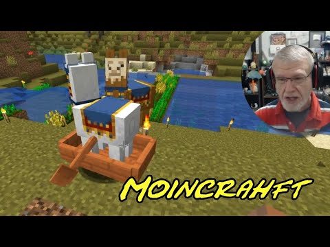 Mind-Blowing Violin Discovery in Minecraft