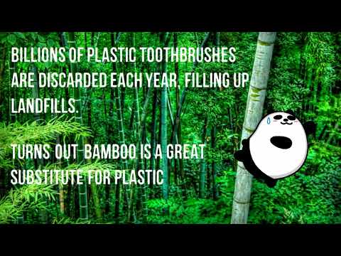 Bamboo toothbrush - healthier and better for the environment logo