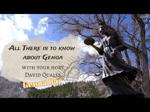 All There is to Know About Genoa - Genoa Bar