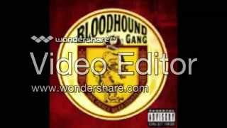 Bloodhound Gang - Kiss Me Where It Smells Funny (Guitar Cover) Demo