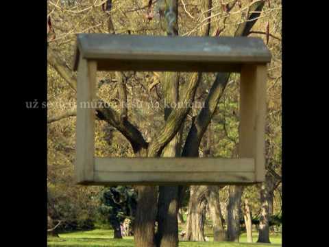 Jaromír Nohavica - každý si nese své břímě