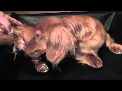 anzi föddes 20140219 kl 03,55