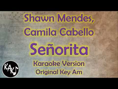 Shawn Mendes, Camila Cabello - Señorita Karaoke Lyrics Instrumental Cover Original Key Am