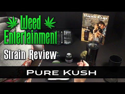 Pure Kush - Indica - by Terraform Genetics - Strain Review - from WHTC, Studio City, Ca