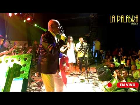 Lady - Orquesta La Palabra & el Kartel ( en vivo )