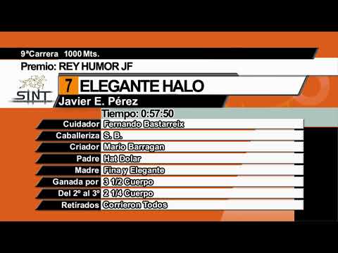 CARRERAS SINT COLONIA 15/11/25 | EN VIVO | URUGUAY