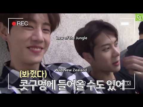 MARKSON MOMENT #116 - "Jackson's advice to Mark in the jungle"
