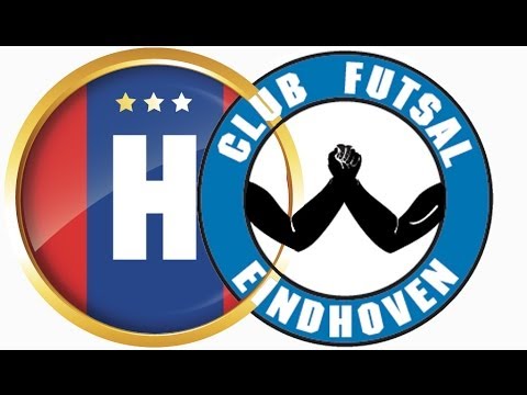 Hovo CFE 150214 samenvatting