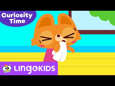 ACHOO! WHAT IS A SNEEZE? 🤧 | Curiosity Coach by Lingokids