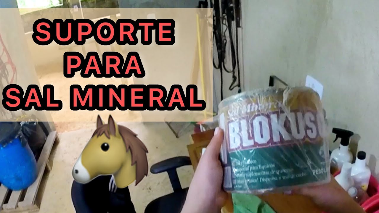 Suporte para SAL MINERAL 🐴