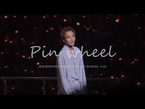 [4K] 180630 SEVENTEEN 'IDEAL CUT' IN SEOUL - V cut 바람개비 정한 focus