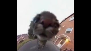 Cover art for Viva la vida(sped up)