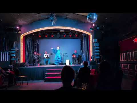 Promotional video thumbnail 5 for Matiz Flamenco