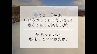 冬だと一日中家にいるのってもったいない!  寒くてもっと楽しい所!