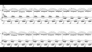 Spiros Deligiannopoulos - Invisible Shadows for Violin and Piano (2008) [Score-Video]