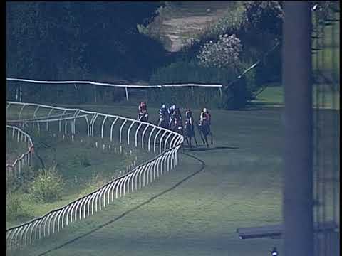 Galoppo 31/07/2019 - 6ª corsa