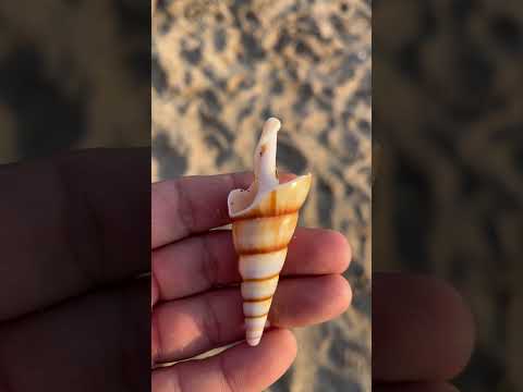 Seep Gujarat Beach Safar e Hindustan irfan Malegaon