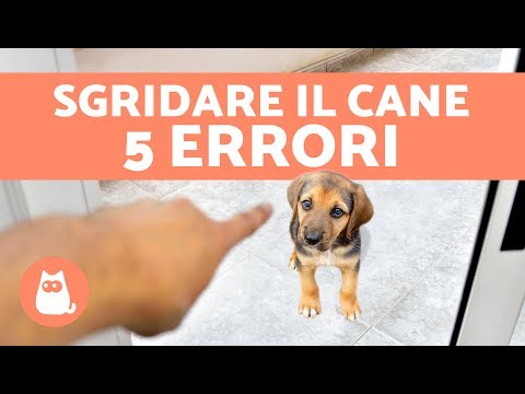Rimedi di gente da latte di vermi e aglio Come definirà lesistenza di vermi