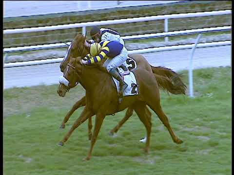 Galoppo 15/03/2018 - 2ª corsa