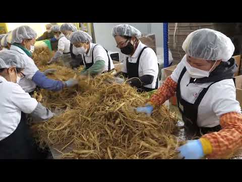 Nhà máy sản xuất nhân sâm từ các trang trại nhân sâm hàn quốc