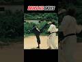 Bruce Lee Skills Kungfu Brucelee Martialarts