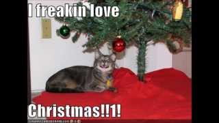 Bob Rivers- Wreck The Malls