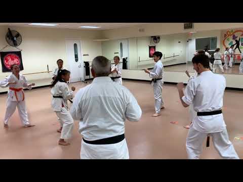 Bull in the Ring Karate Drill