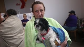 Tips for Preparing Your Dog for a Hurricane With Victoria Stilwell