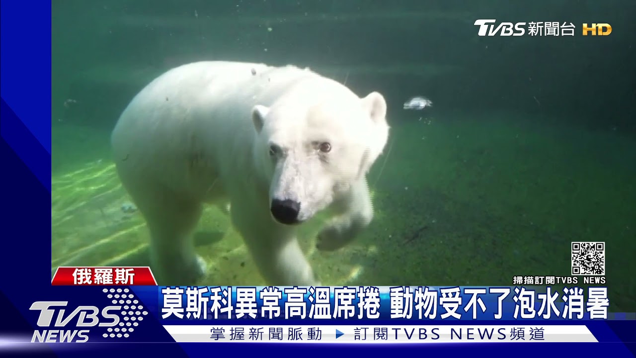 美西熱浪襲捲!加州死亡谷逼近56°C 氣溫超高受不了