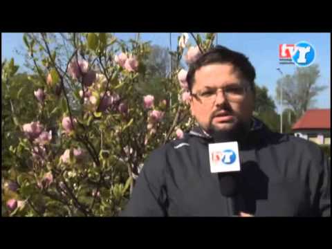 Poznaj swoje miasto - 1945. Pierwsze dni polskich Żar.