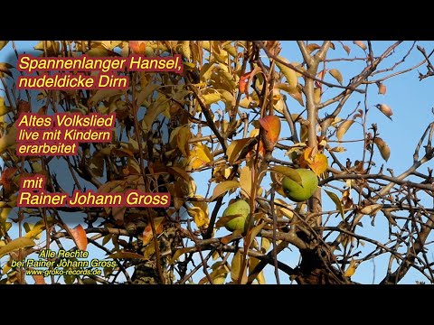 Spannenlanger Hansel, nudeldicke Dirn - Volkslied live mit Kindern erarbeitet - Rainer Johann Gross
