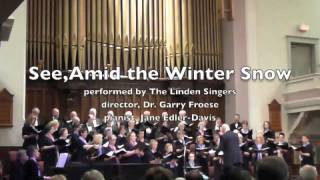 See, Amid the Winter Snow (Robert Scholz) ~ performed by the Linden Singers