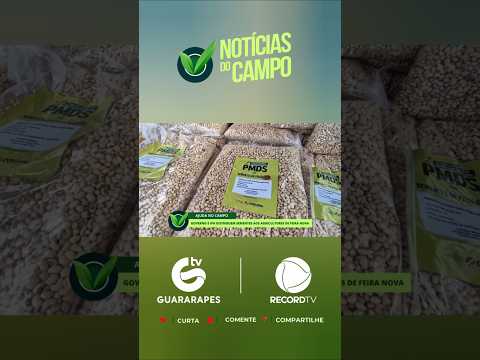 Entrega de sementes para agricultores de Feira Nova PE