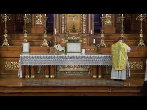 Offertorium - Dominica VIII Post Pentecosten (Ps 17:28, 32)