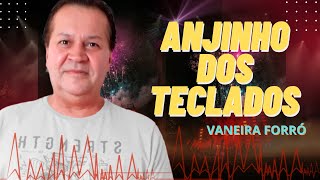 12   Anjinho dos Teclados TOCA P ANIMAR ESSE POVÃO, SELEÇÃO A TODO VAPOR ESPECIAL FORRÓ FIM DE ANO