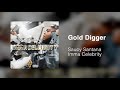 Saucy Santana - Gold Digger [Official Audio]