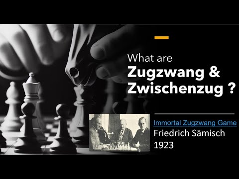 What are Zugzwang & Zwischenzug ? Friedrich Sämisch's immortal Zugzwang game of 1923