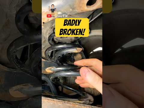 BROKEN Coil Springs