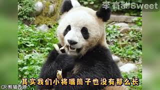 kid fuuny,songs for kids,for kids,baby songsOkolele,oko lele,Oko and Lele,oko lele officail,Oko 6