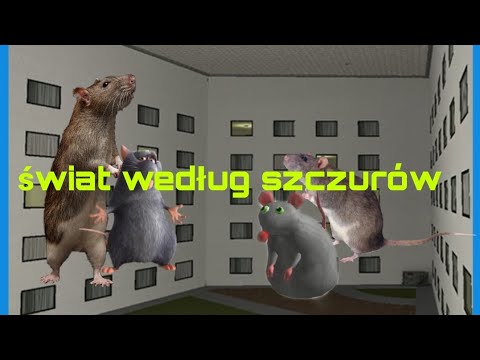 Świat według szczurów: Skarbnik i Płaskoziemca) Odcinek 7