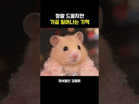 직장인의 의기양양 모먼트
