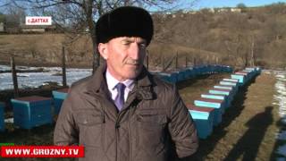 В Чечне реализуется республиканский проект «Возрождение производственно-ученических бригад» 